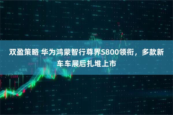 双盈策略 华为鸿蒙智行尊界S800领衔，多款新车车展后扎堆上市