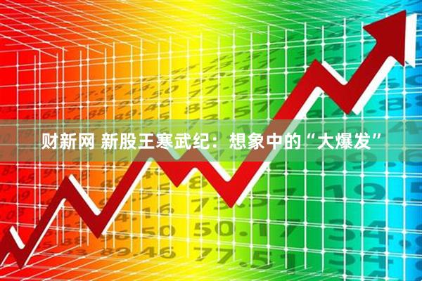 财新网 新股王寒武纪：想象中的“大爆发”