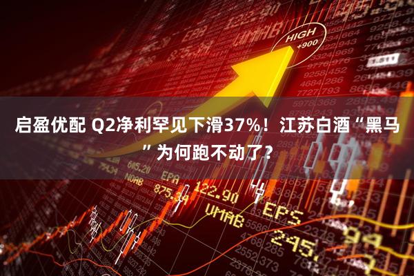 启盈优配 Q2净利罕见下滑37%！江苏白酒“黑马”为何跑不动了？