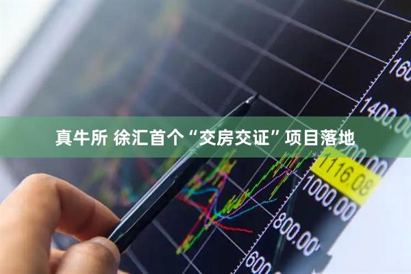 真牛所 徐汇首个“交房交证”项目落地
