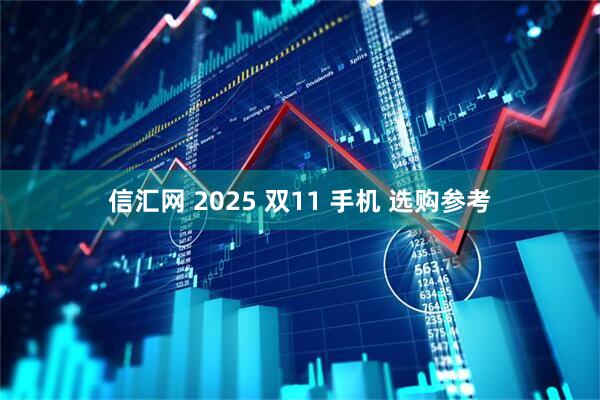 信汇网 2025 双11 手机 选购参考