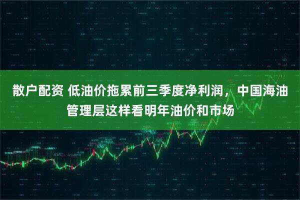 散户配资 低油价拖累前三季度净利润，中国海油管理层这样看明年油价和市场